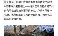 开云体育app-乌克兰压制奥地利，惊险晋级四强的简单介绍