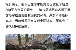 开云体育app-乌克兰压制奥地利，惊险晋级四强的简单介绍