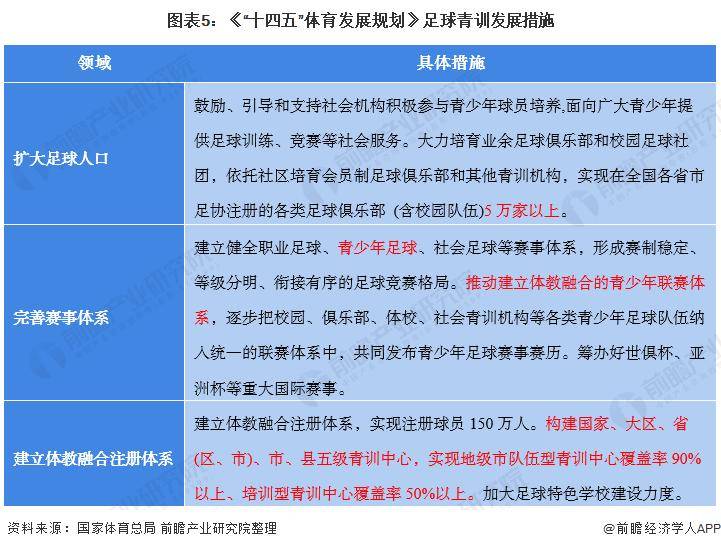 国内足球产业发展现状解析，前途未卜！的简单介绍