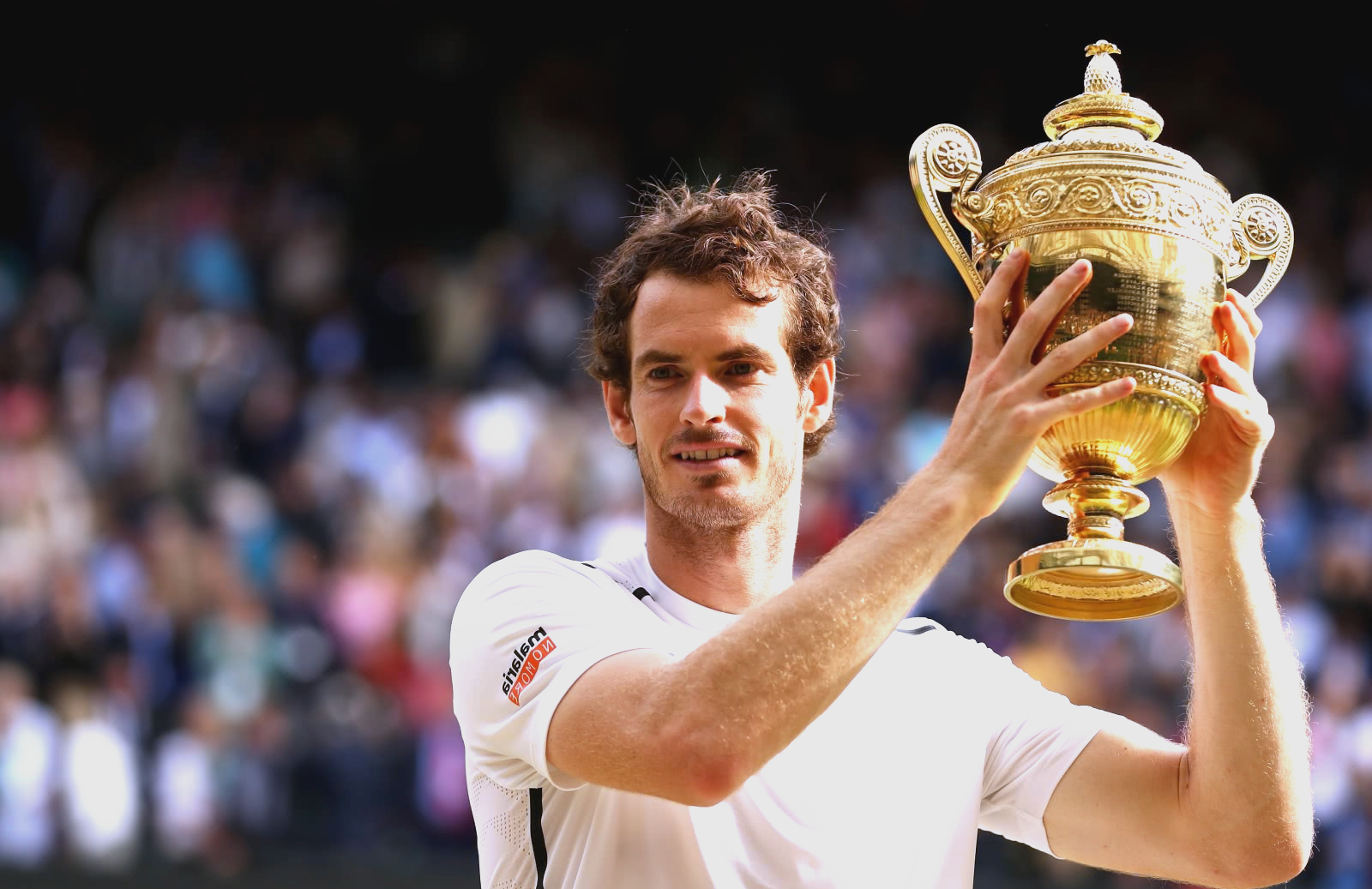 包含英国网球队横扫德国网球队，穆雷绝境逆转的词条