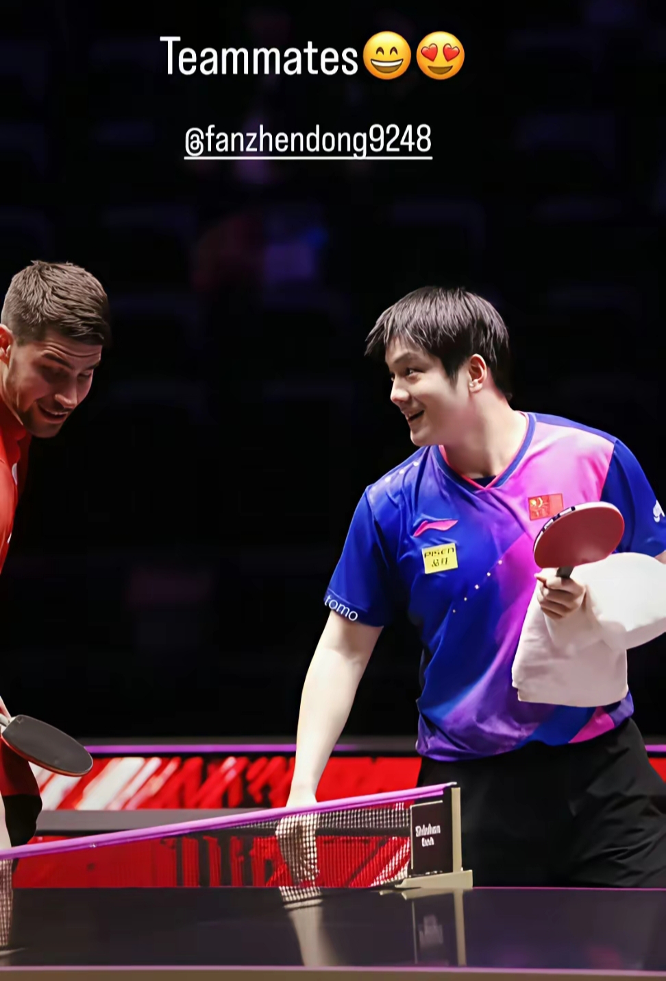 英格兰队力克波兰队,樊振东关键制胜的简单介绍 英格兰队力克波兰队,樊振东关键制胜的简单介绍